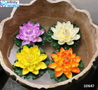 Floating Lotus (Pack Of 4) - (10647)