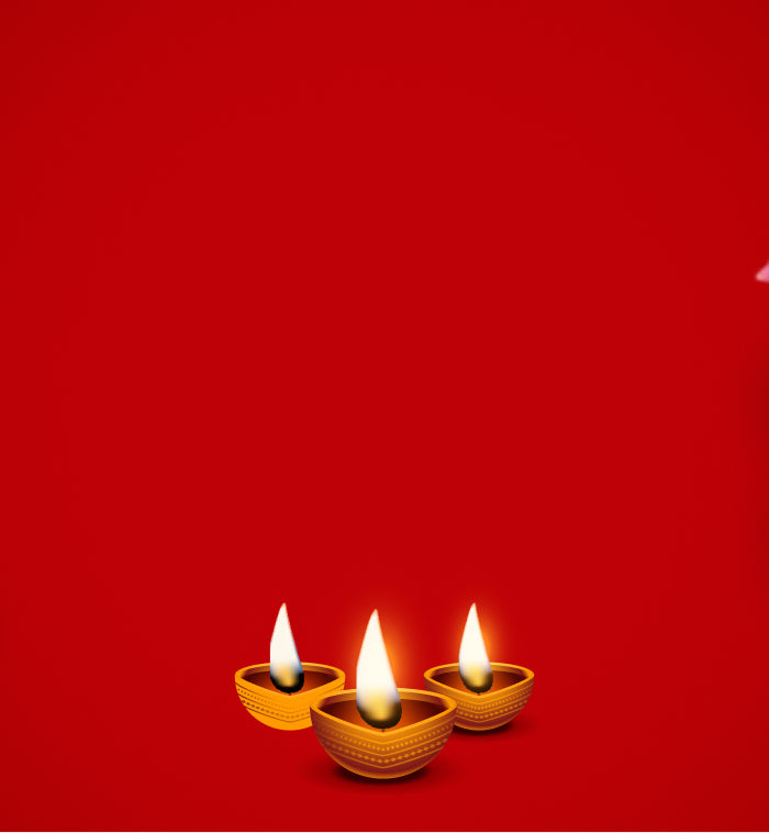 <h2>FESTIVE ITEMS</h2>